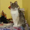 Отзыв от Наиля Ильинская